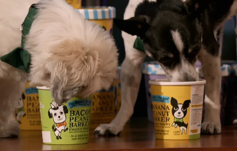 The Bear & The Rat Product Image