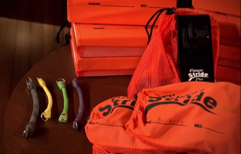 Fitness Stride Product Image