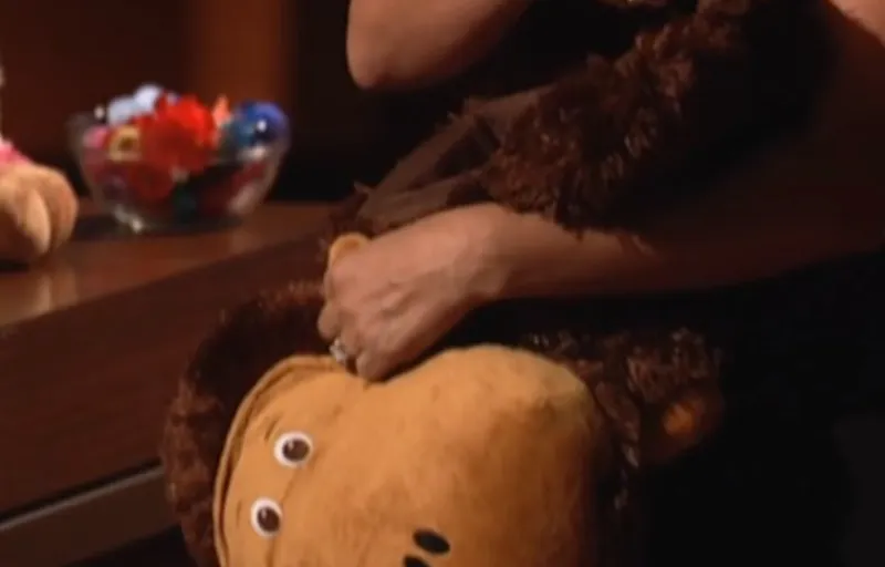 Treasure Chest Pets Product Image