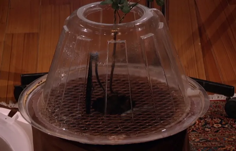 Tree T-Pee Product Image