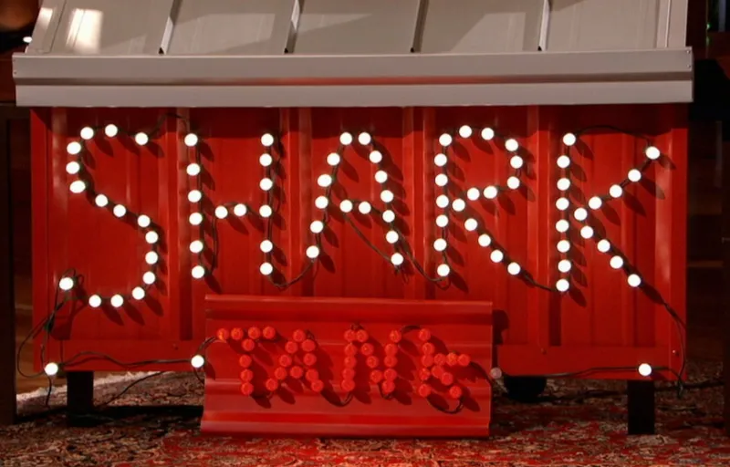 Lite-Netics Product Image