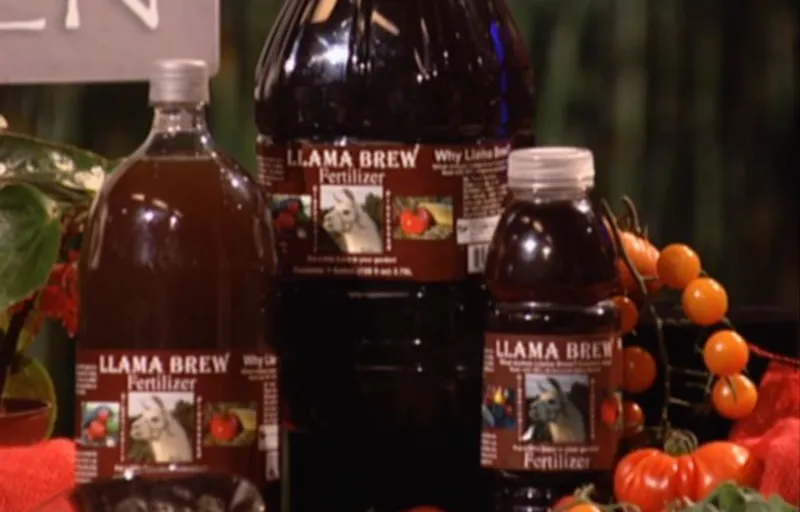 Llama Brew Product Image